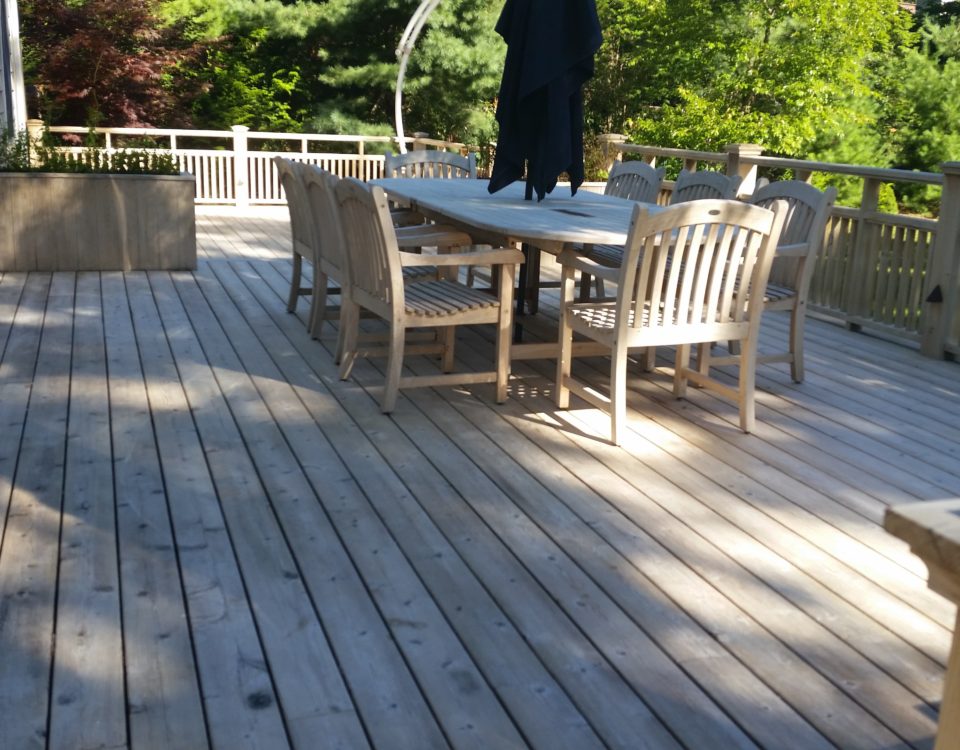 Chameleon Painting Inc. - Deck, Railings, and Furniture Power Wash